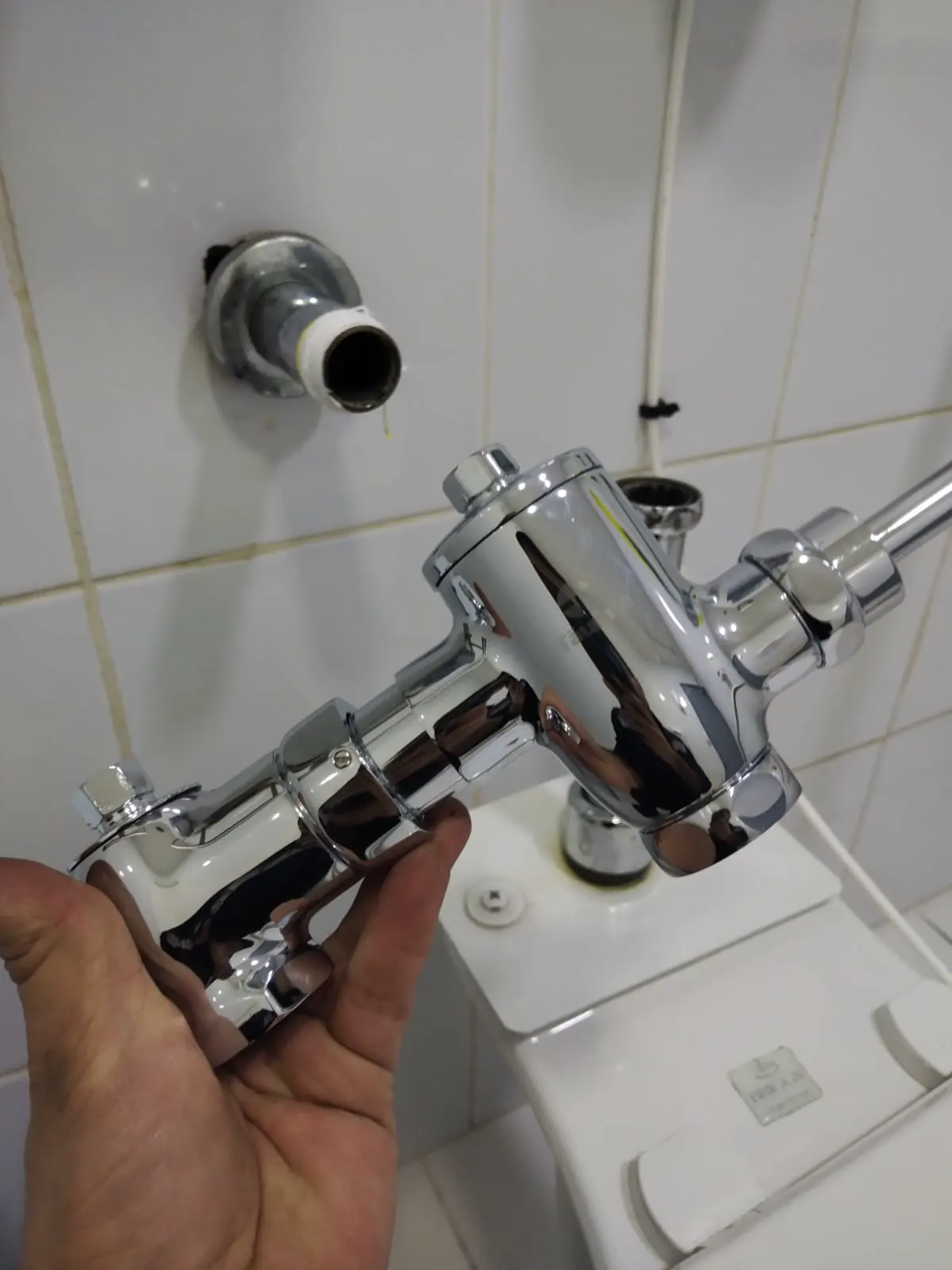 Cambio y mantenimiento de un fluxómetro.