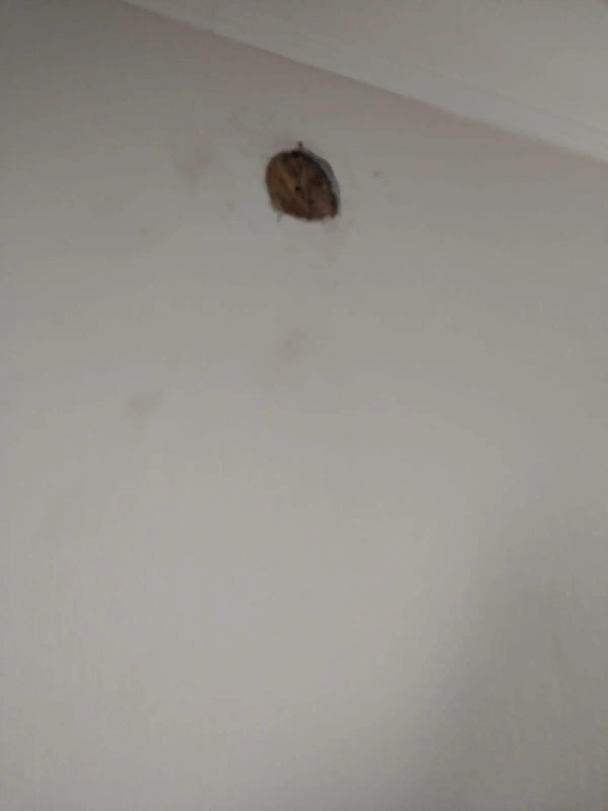 Instalación de una estufa a pellet.
